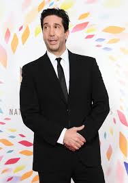 Find the perfect david schwimmer stock photos and editorial news pictures from getty images. David Schwimmer Lifts Lid On Friends Reunion And Says Filming Starts Imminently Mirror Online
