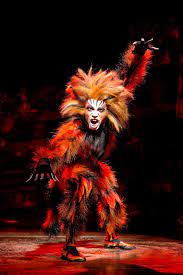 Image Result For Macavity Cats Cats Musical Cats Pretty Cats