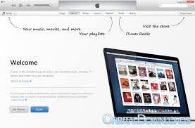 The itunes application is a popular program developed by apple for the storing of media files. Download Itunes 32 Bit Orbitaldownloads