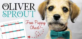 Oliver Sprout Free Potty Training Puppy Chart