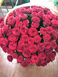 We did not find results for: 100 Rose Rosse Extra In Cesto