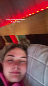 Bed Bugs in Greece Metro