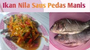 500 gr ikan nila bahan saus: Masakenak Olahanikannila Sauspedasmanis Cara Membuat Ikan Nila Saus Pedas Manis Yang Simpel Youtube