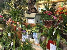 Maybe you would like to learn more about one of these? Royer S Flowers Gifts 902 Lancaster Ave Columbia Pa 17512 Usa