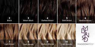 To lift the color of dark hair without bleaching it, you should use a permanent hair color, not more than two shades lighter than your base color. Dear Color Crew What Level Is My Hair