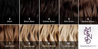 The dark hair gradually blends into dark red and blonde tones. What Level Is My Hair Find Your Hair Color Level With This Guide From Madison Reed