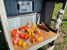 富有柿‼️ | ちょい悪オヤジの何でもブログ❕