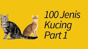 Saat ini, kucing adalah salah satu hewan peliharaan terpopuler di dunia. 100 Jenis Kucing Di Seluruh Dunia Part 1 Youtube