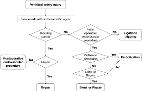 figure 3 from the management of vertebral artery injury in