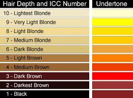 Hair Color Level Chart Lusual Com