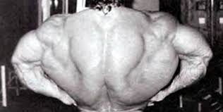 Another amazing back workout today from the mr olympia 2020. 7 Brutal Tri Set Back Workouts For Size Revolutionary Program Design