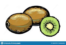 Kiwi Handzeichnung Fullfederhalter Kiwi Ganz Geschnitten Zeichnen Auf Papier Einsetzen Einfacher Stil Linie Stock Abbildung Illustration Von Handzeichnung Fullfederhalter 166027075