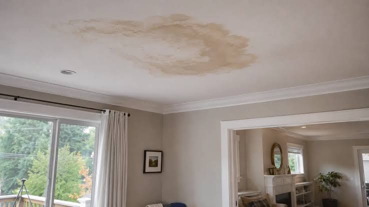 Water leaking through a ceiling into a bucket inside a Pittsburgh home during a storm