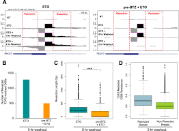 How dna controls the workings of the cell tab 8 below are two partial sequences of dna bases (shown for only one strand of dna). Suppressing Proteasome Mediated Processing Of Topoisomerase Ii Dna Protein Complexes Preserves Genome Integrity Elife