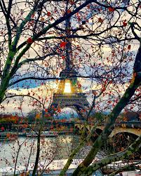 Sunrise Autumn Iphone Xs Max Snapseed Paris Wallpaper Iphoneography