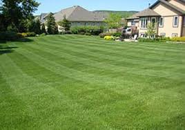 Some lawn services lack training and professional experience. Lawn Mowing Service Basic Maintenance Program Lawn Connections Llc