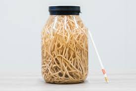 The most common types of these parasitic worms are roundworms and hookworms. Seven Things To Know About Intestinal Worms The End Fund