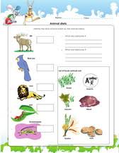 We have a variety of different and interesting subjects we are constantly adding new science worksheets to our site for all grade levels. Science Worksheets For Grade 1