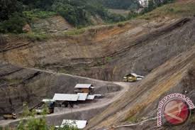We did not find results for: Menapaki Jejak Kekejaman Kolonial Belanda Di Sawahlunto Antara News