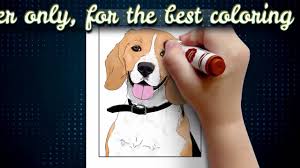 Flat design pet care icon set with side shadow a set of flat design styled pet care icons with a long side shadow. Dog Coloring Pages Book For Kids Adults V1 Dogs Colouring Books Youtube