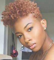 Short-Natural-African-American-Hairstyle Best Natural Hairstyles for Short  Hair for Women