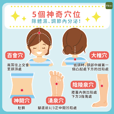 ５個神奇穴位 除體濕 調節內分泌 heho健康 acupuncture points health therapy