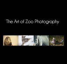 Art of zoo site