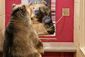 نتيجة بحث الصور عن ‪Davepollotart‬‏