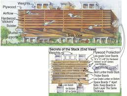 Https Www Woodmagazine Com Materials Guide Lumber How To Succeed At Air Drying Lumber Lumber Woodworking Wood Woodland Art