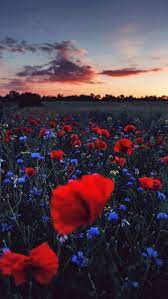 Aesthetic Landscape And Nature Image Nature Aesthetic Nature Photography Beautiful Landscapes