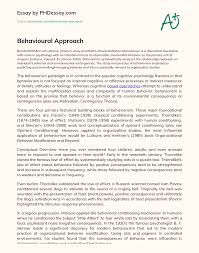 Patient discussion about behavior modification. Behavioural Approach Phdessay Com