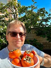 SOME ASKED IF I GREW FRUIT… Picked over 700 off this tree!