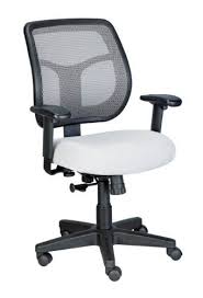 Eurotech Apollo Mesh Chair By Eurotech 178 95 Seat Back Arm Height Adjustment Mesh Back And Fabric Seat Waterfall Sea Chair Mesh Task Chair Task Chair