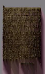 Grammar and dictionary of the Bushonga or Bukuba language as spoken by the  Bushonga or Bukuba tribe who dwell in the Upper Kasai