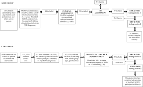 Flow Chart Showing Recruitment And Assessment Of