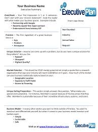 Examples Of An Executive Summary Executive Summary Template For Bank Loan Executive Summary Template Business Plan Template Executive Summary