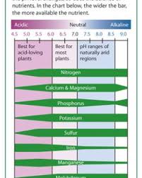 The Four Things You Need To Know About Soil Ph Finegardening