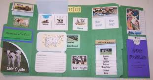 Free Cattle Cow Lapbook Printables And Unit Study Study Unit Farm Unit Study Farm Lessons