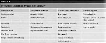 Nasm Study Guide Compiled By Fittinpretty Com Pdf Free