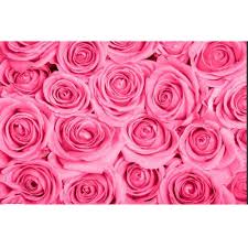 See more ideas about rose flower wallpaper, flower wallpaper, rose flower. Pink Rose Flower Printed Wallpaper Size 5 Sq M Rs 3000 Roll Apna Traders Id 18570447762