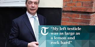 Image result for sir nigel farage + images