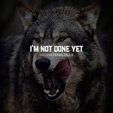 Sep 19, 2014 · allgemeine geschäftsbedingungen für käufer. 87 Wolf Ideen Krieger Zitate Wolf Hunde Weisheiten
