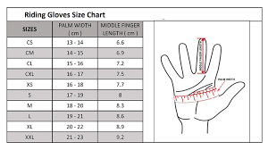 amazon com tuffrider stretch n grip riding gloves