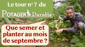 Que faire au moins de septembre au jardin ? Que Semer Et Planter Au Mois De Septembre Au Potager Youtube