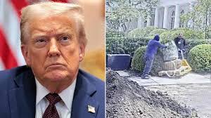 Margaret Gavin's Instagram, Twitter & Facebook