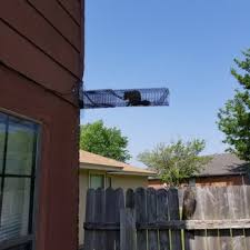 Addresses:po box 89, san pedro, tx 78380 113 avalon dr, san pedro, tx 78380. Tex Pro Pest Control 15 Photos Pest Control Arlington Tx Phone Number