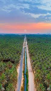 عبدالله الشيخ الأحساء on twitter travel to saudi arabia saudi arabia culture beautiful places to travel
