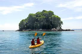 Ingin menyaksikan fenomena penyu menetas telur? 15 Tempat Menarik Di Pulau Tioman Menenangkan Dan Sesuai Bercuti Ammboi