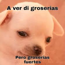 Lo que callamos los MICHIS 😸