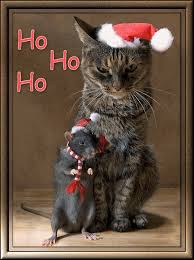 Résultat de recherche d'images pour "gifs animaux noel"